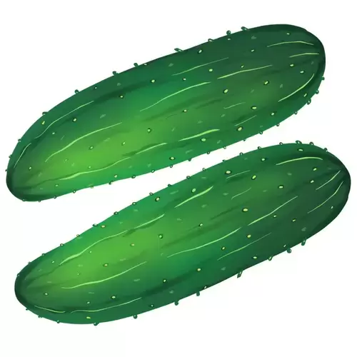 蔬菜-黃瓜插圖素材